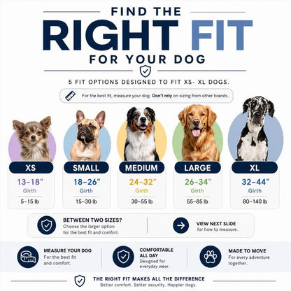 Pawtether Dog Harness