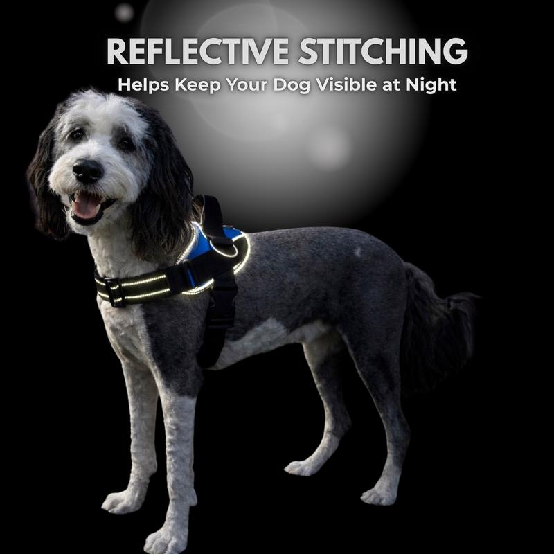 Pawtether Dog Harness