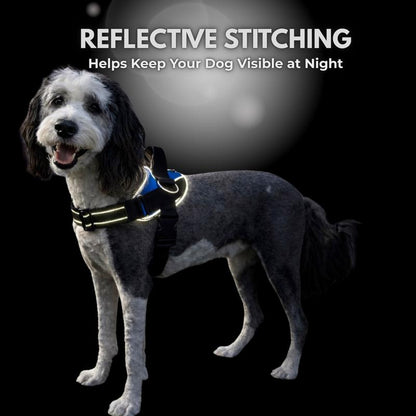 Pawtether Dog Harness