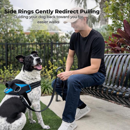Pawtether Dog Harness