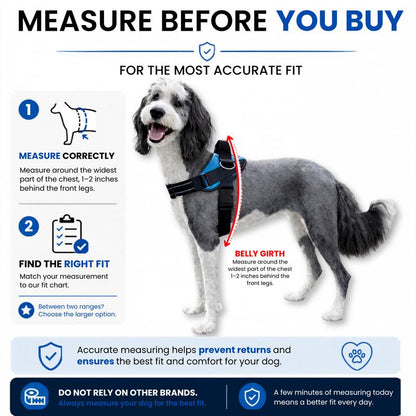 Pawtether Dog Harness